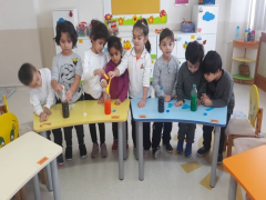 Evrensel Kolej
